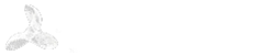 SmartMoveStudio